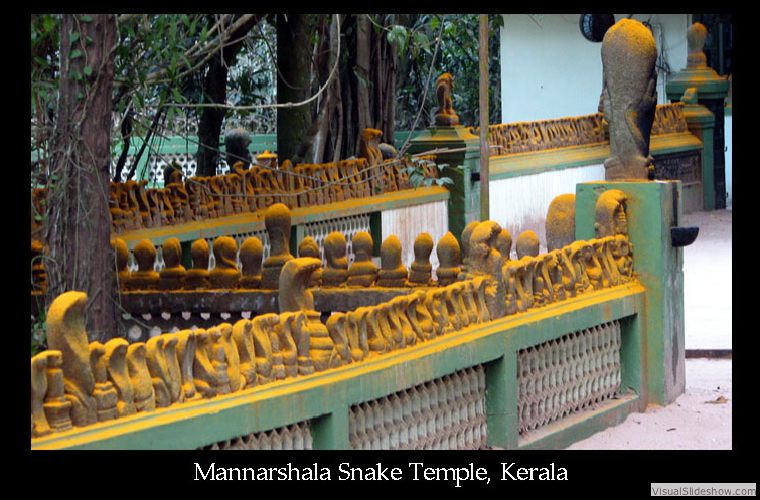 snake_temple